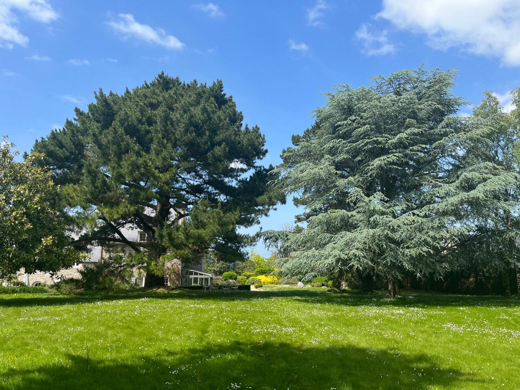 Manoir Des Bords De Rance Bed & Breakfast Plouër-sur-Rance Eksteriør bilde