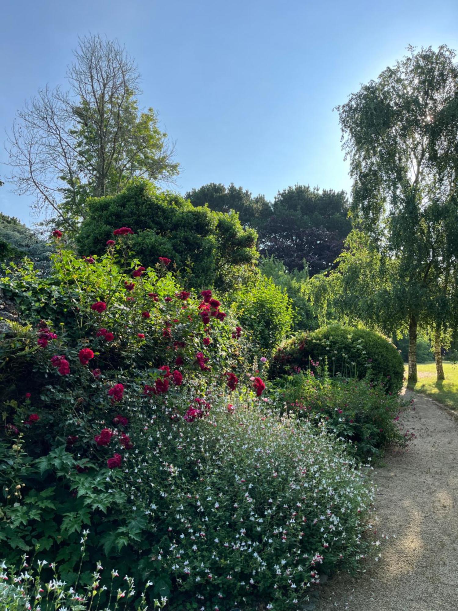 Manoir Des Bords De Rance Bed & Breakfast Plouër-sur-Rance Eksteriør bilde